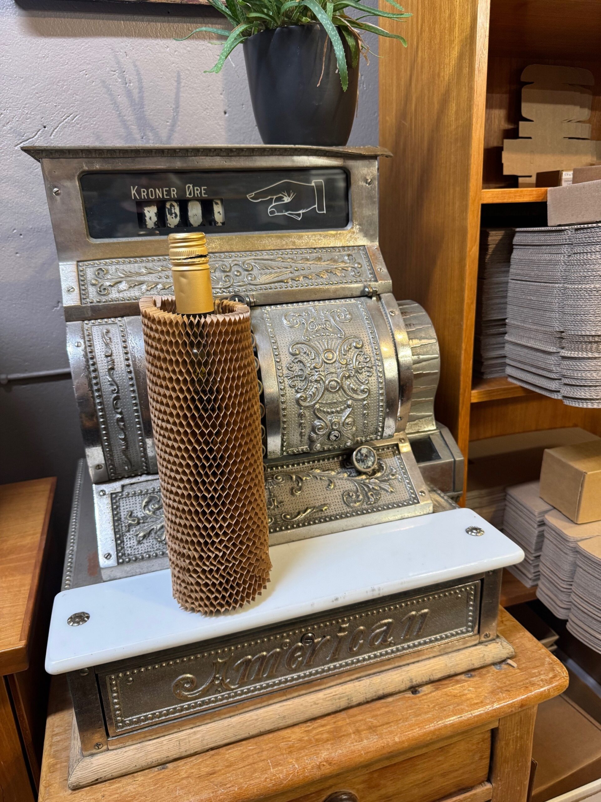 Flöskufaðmur 30cm á hæð - 10 í búnti